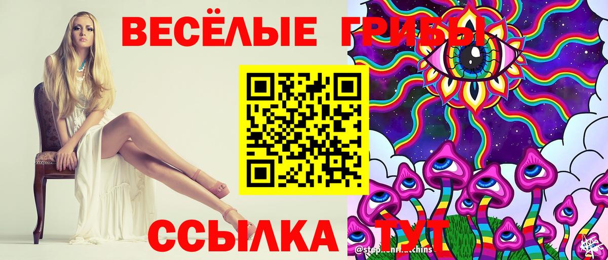 Псилоцибиновые грибы Magic Shrooms  Галлюциногенные грибы GOLDEN TEACHER  Гусев  Вход с VPN 