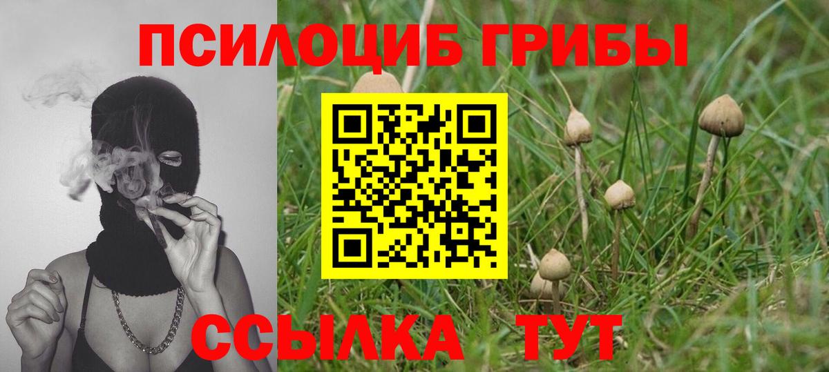 Галлюциногенные грибы GOLDEN TEACHER Гусев